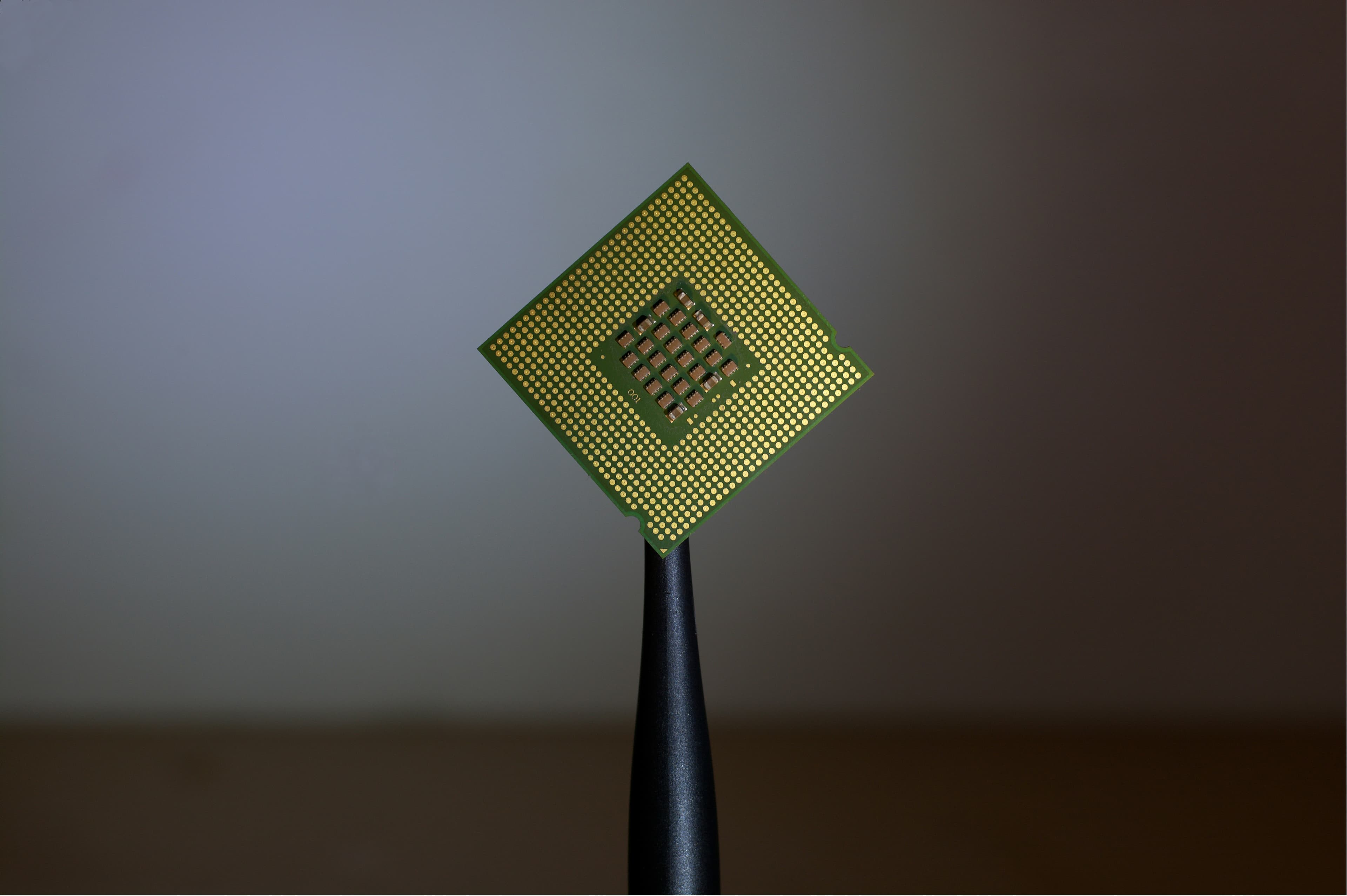 The Anatomy of an AI Accelerator: Why the Chip Is the Business